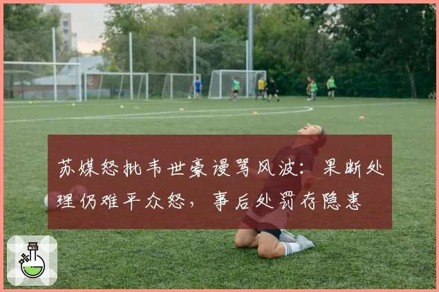 苏媒怒批韦世豪谩骂风波:果断处理仍难平众怒,事后处罚存隐患