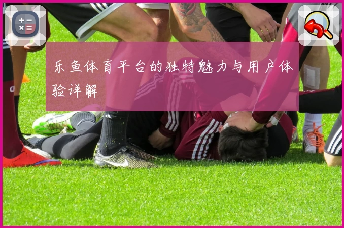 乐鱼体育平台的独特魅力与用户体验详解