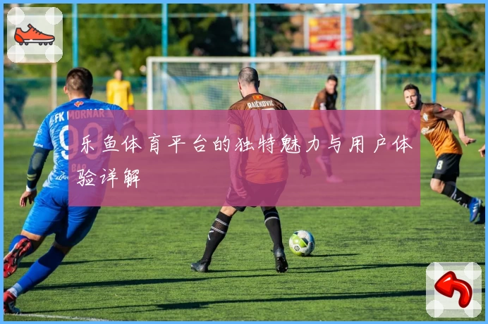 乐鱼体育平台的独特魅力与用户体验详解